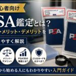 PSA鑑定初心者ガイド